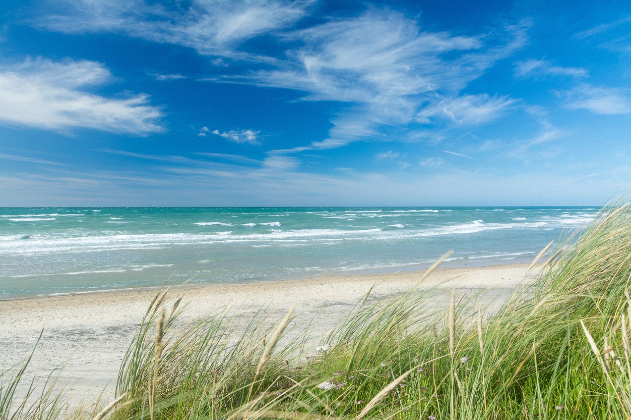 Sandstrand mit Dünengras an der dänischen Nordseeküste