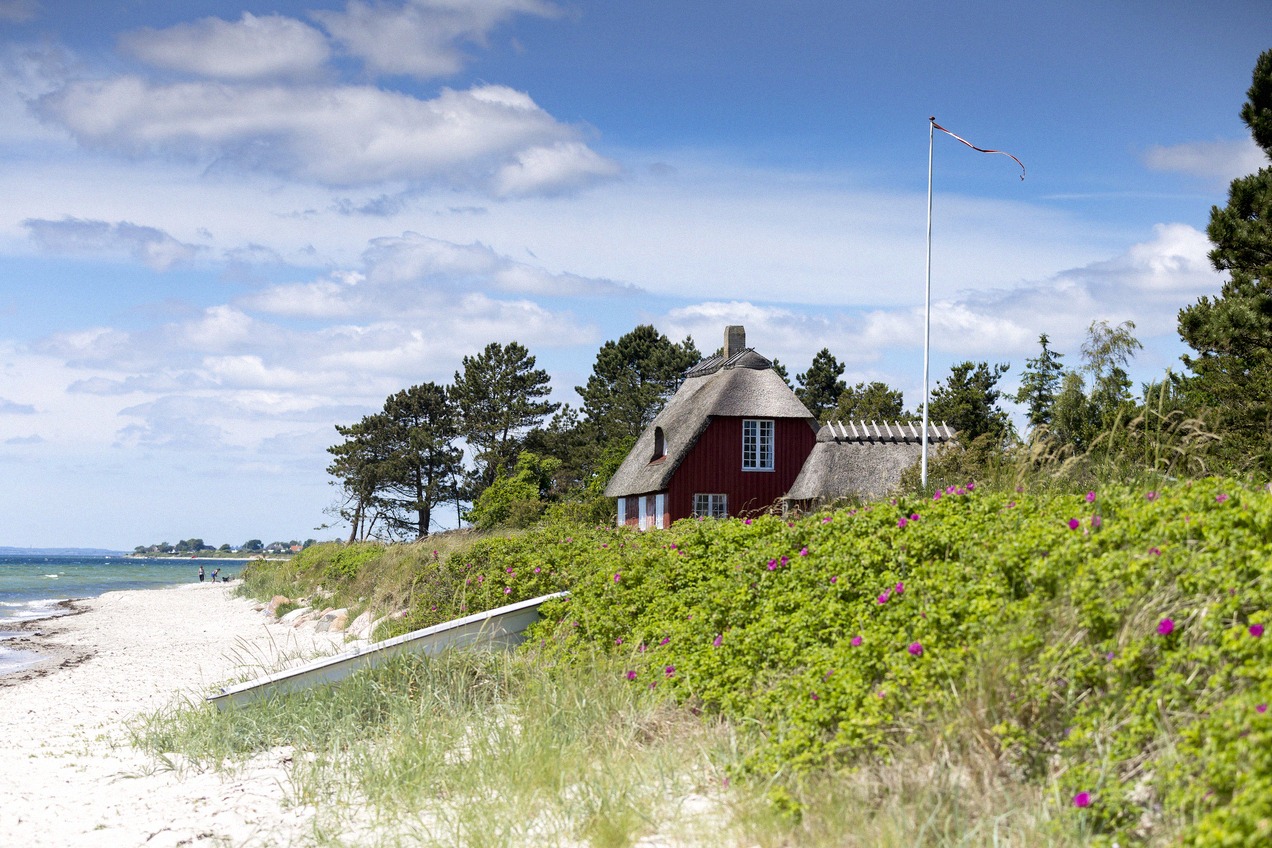 Rotes Ferienhaus mit Reetdach an einem dänischen Sandstrand